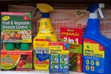 RHS statement on pesticides in horticulture