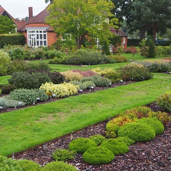 Shrubs: smaller for year round interest