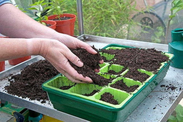 Alternatives to peat