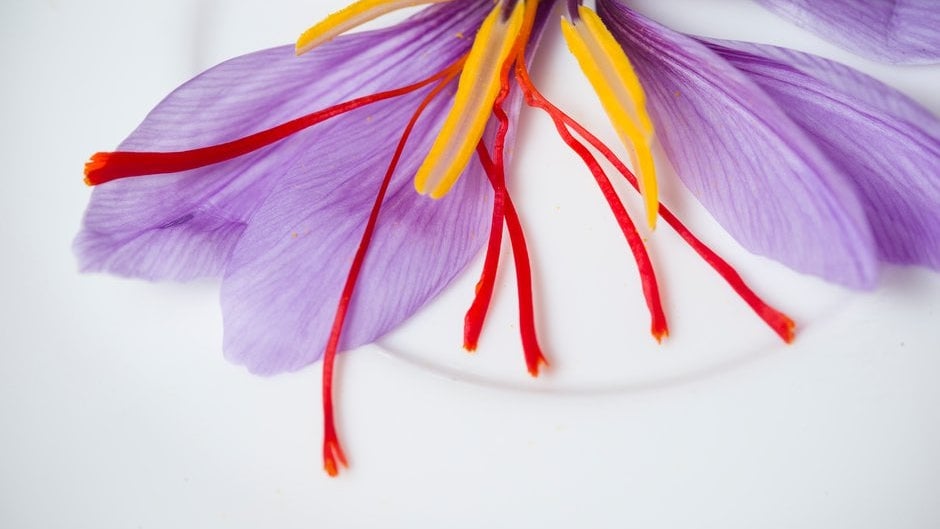 Saffron: Growing and Harvesting | RHS Advice