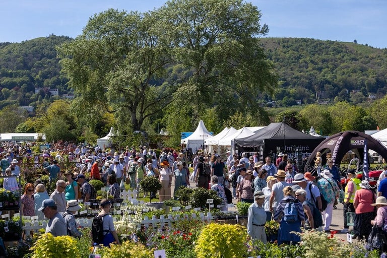 Explore the highlights of RHS Malvern Spring 2026