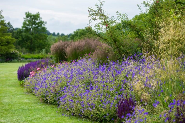 How to plan a border 