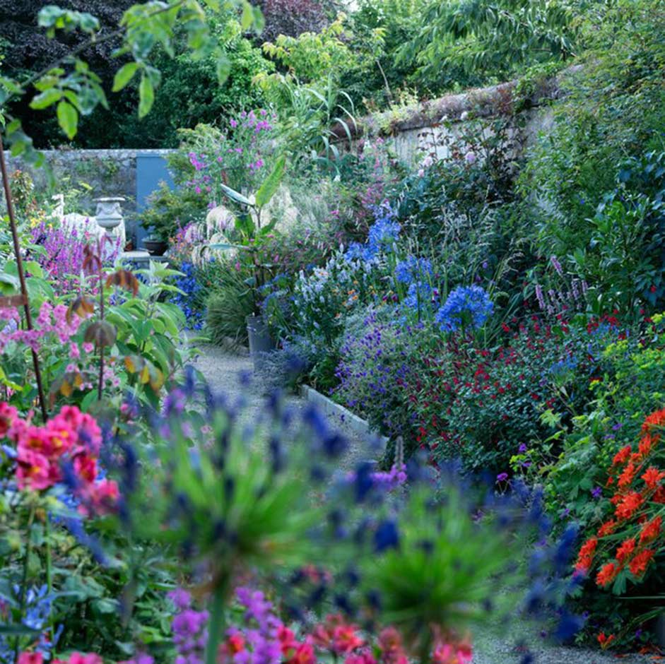 Helen Dillon’s Garden in Dublin