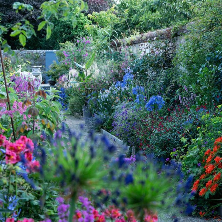 Perennial borders: choosing plants