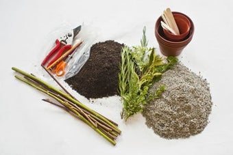 Propagation techniques