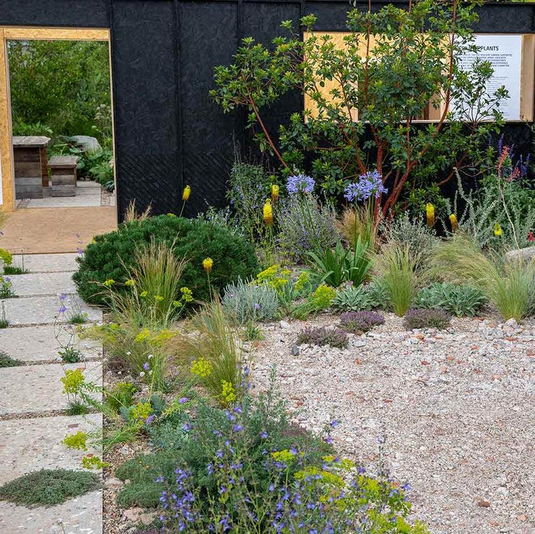 Front gardens: design inspiration