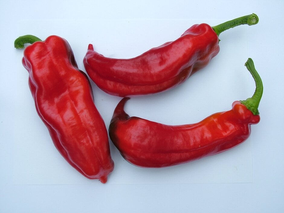 'Corno di Toro Rosso' AGM