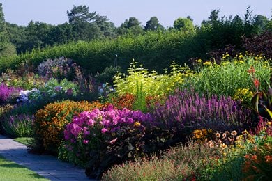 RHS Wisley - A beautiful RHS garden within easy reach of London