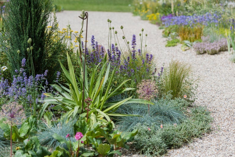 Drought-resistant gardening