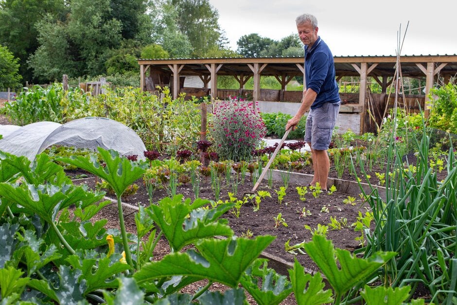 LE POTAGER DU PARESSEUX main image 0