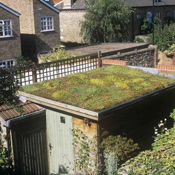 Green roofs