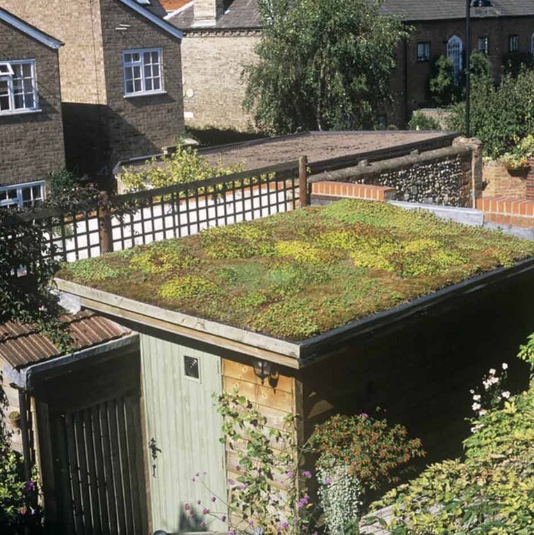 Green roofs