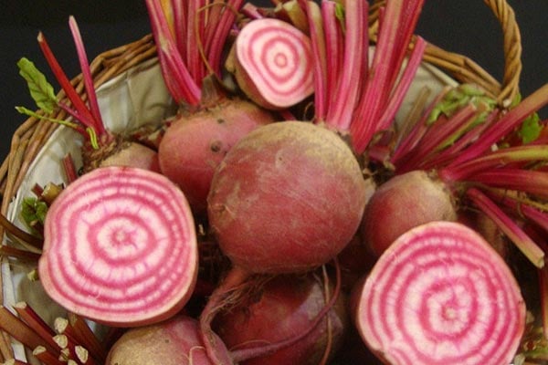 ‘Babietola di Chioggia’