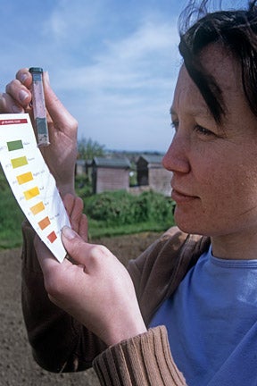 Soil: understanding pH and testing soil 