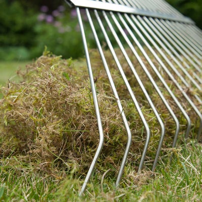 Use a spring-tined rake to remove debris clogging up your lawn