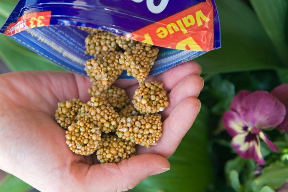 How Plants Absorb Nutrients | RHS Advice