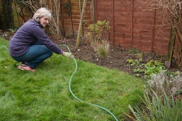 How to Create a Lawn Edge | RHS Advice