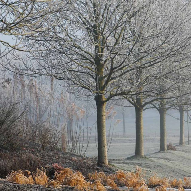 Assessing your microclimate