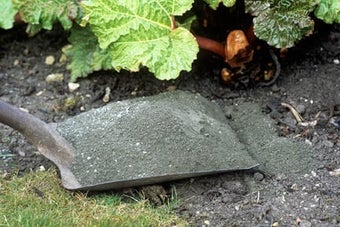 Wood ash: using in the garden
