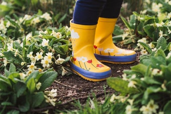 Wildlife gardening in a changing climate