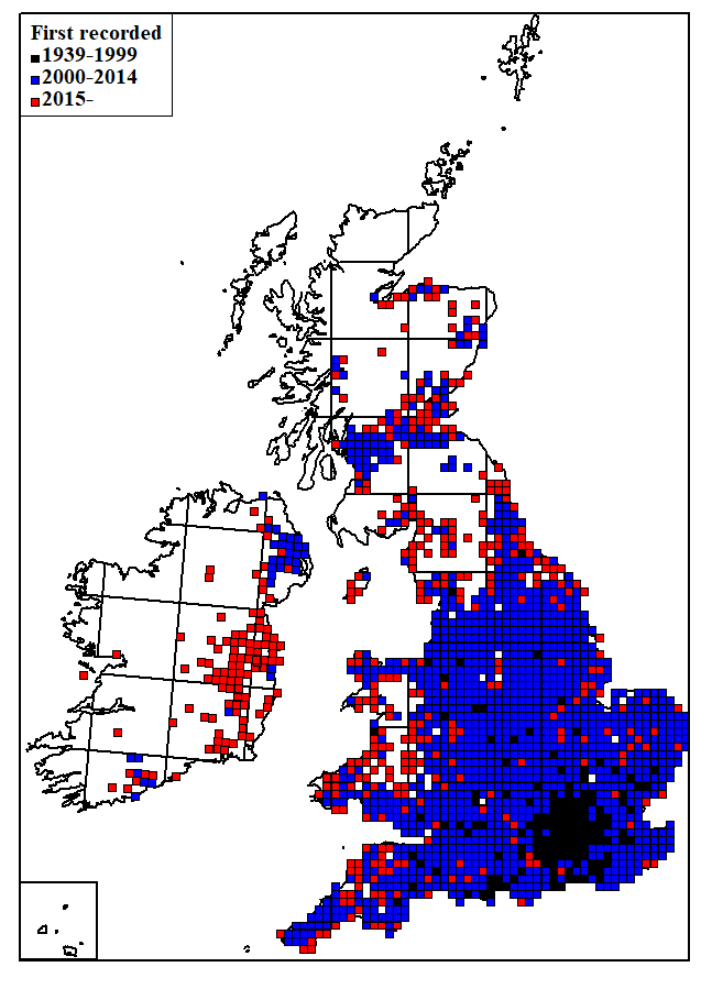 Thumbnail for slide 4