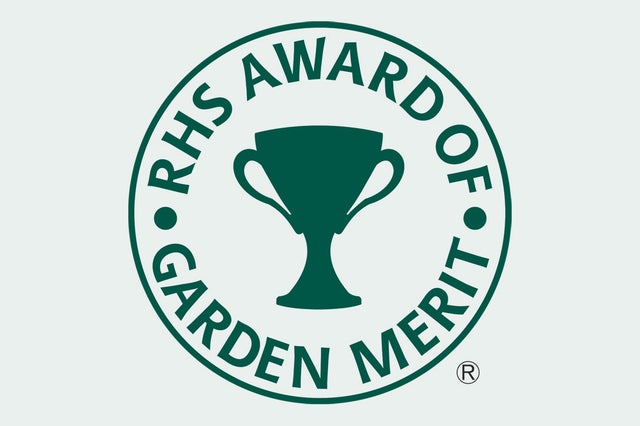 RHS guide to hardiness ratings