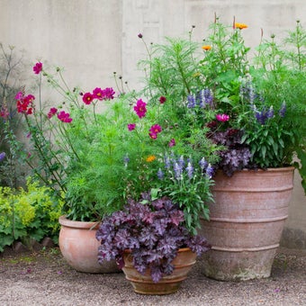 Containers: summer selection