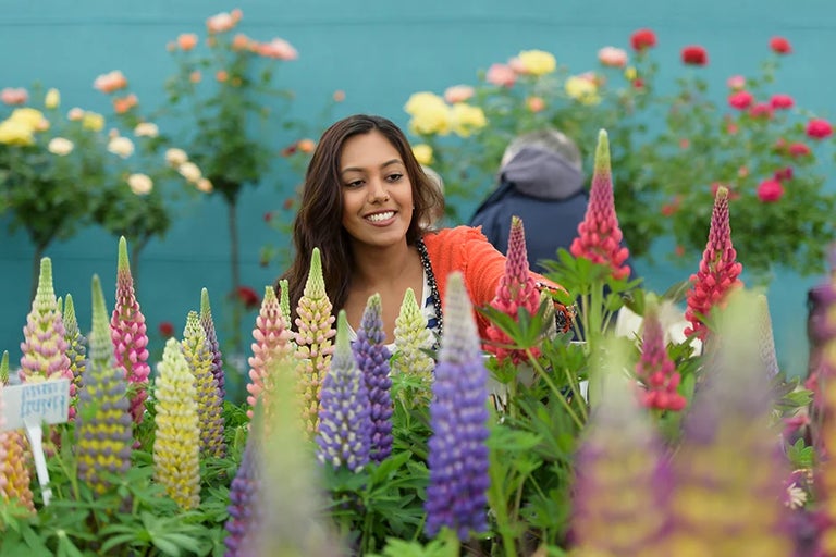 Discover the show highlights