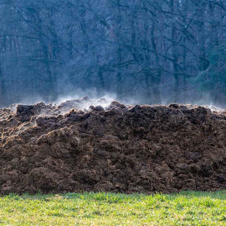 Weedkiller in manure