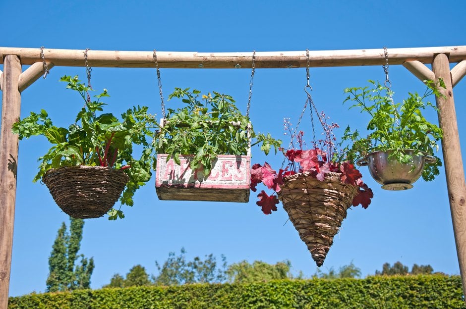 How to plant a hanging basket: Expert Guide | RHS Advice