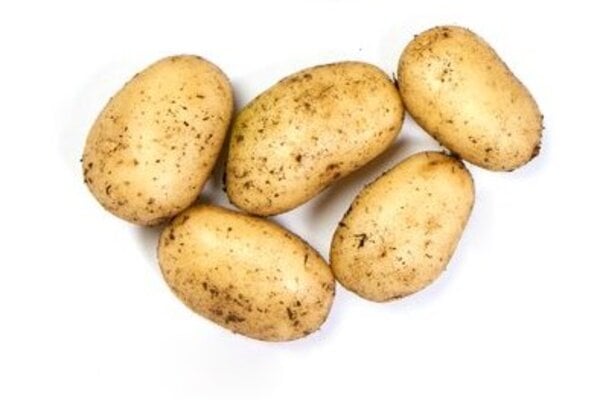 'Sharpe's Express' AGM