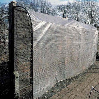 Fruit: protecting from frost