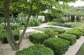 Box Problems: Common Issues Explained | RHS Advice