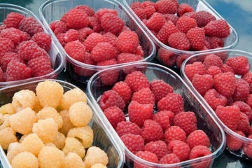How to grow raspberries | RHS Guide