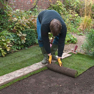 Laying a new lawn from turf