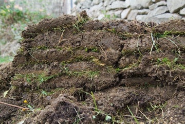 How to Create a Lawn Edge | RHS Advice