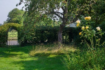 Hedge and woodland edge habitats