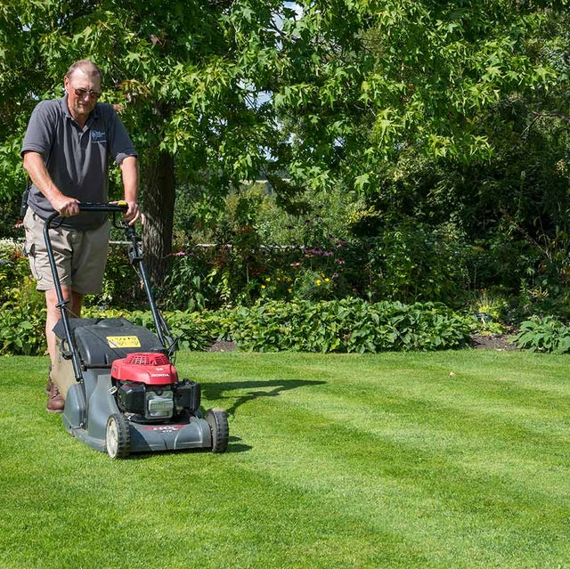 Use a mower with a rear roller if you want stripes on your lawn