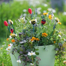 Pots and container habitats