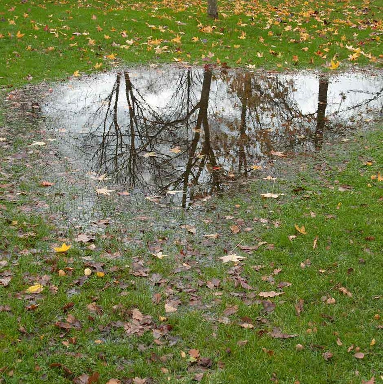 Waterlogged lawns