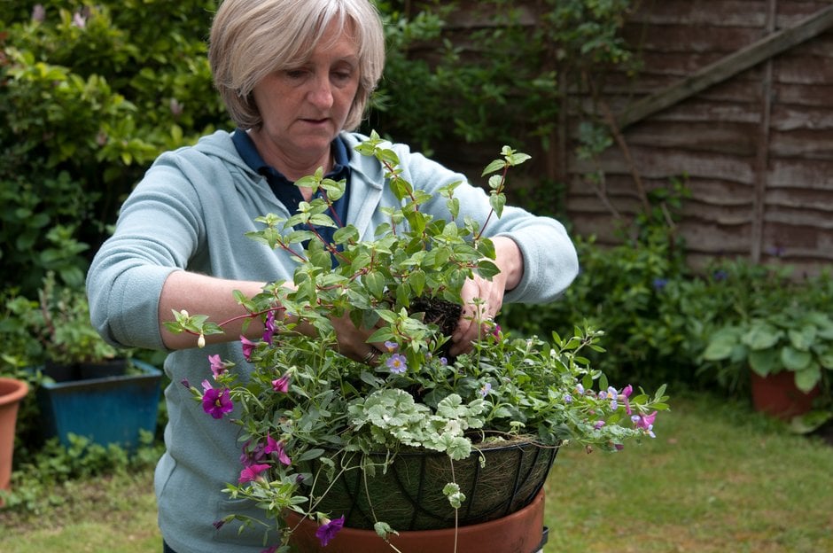 Hanging baskets: Expert Guide| RHS Advice