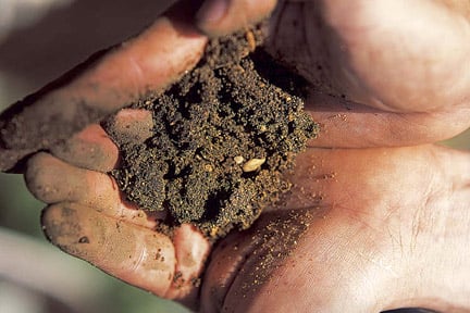 Topsoil: buying