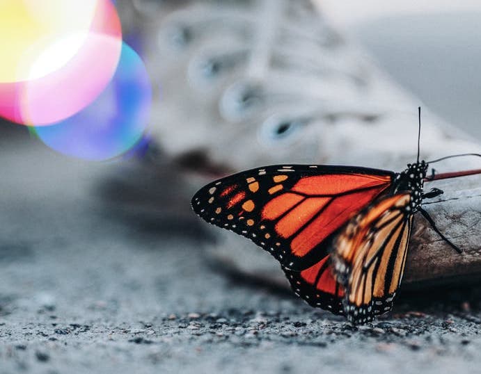 Article card header image