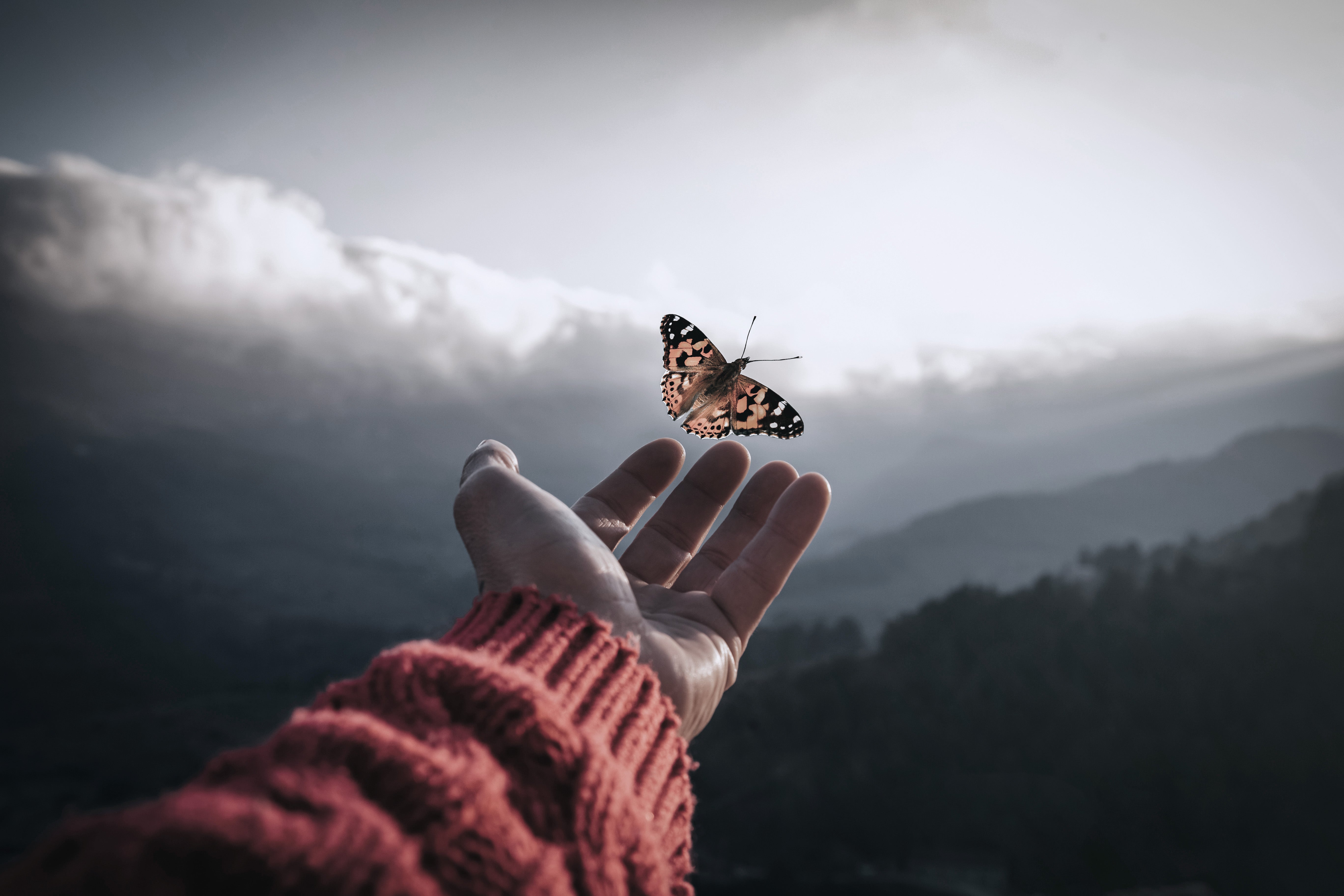 Butterfly flying out of a human hand with mountains in the background.