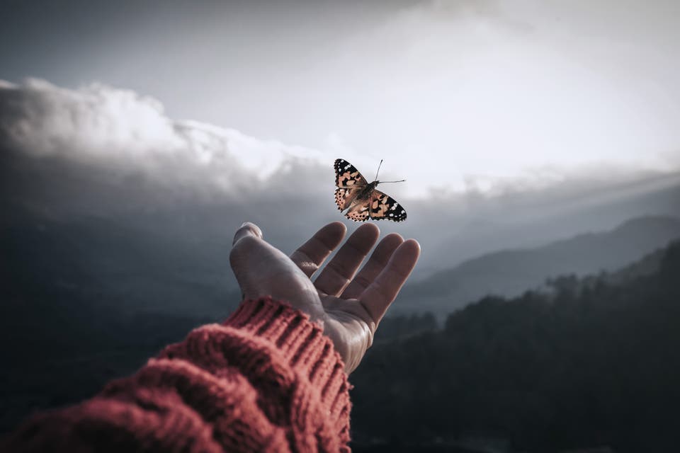 Butterfly flying out of a human hand with mountains in the background.