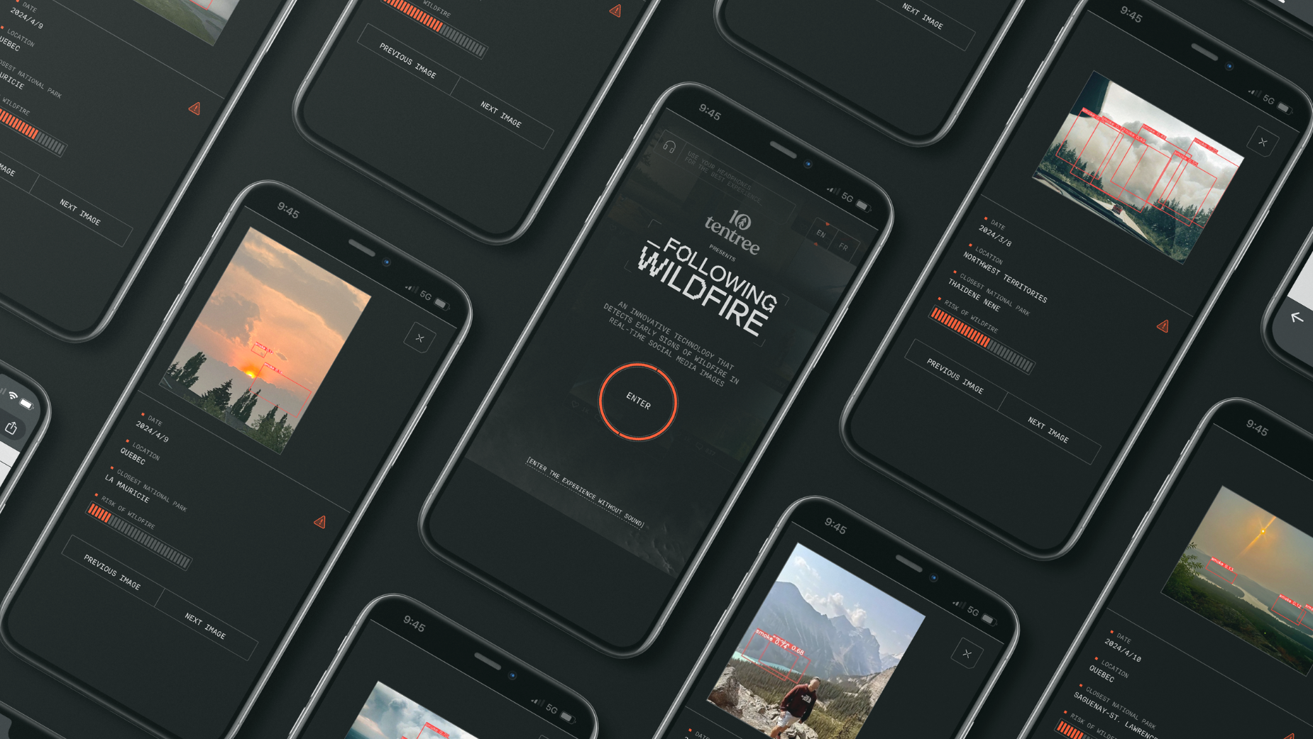 Image of Following Wildfire 