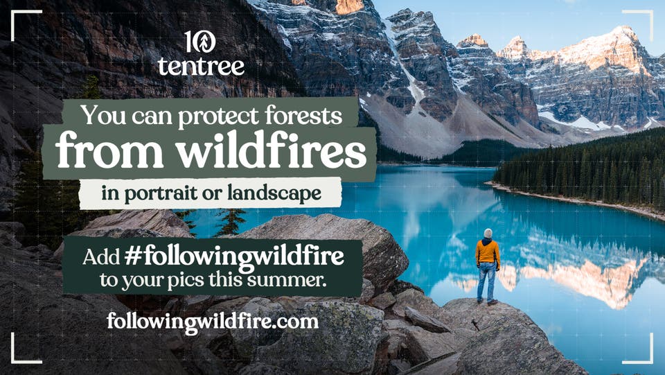 Article card header image