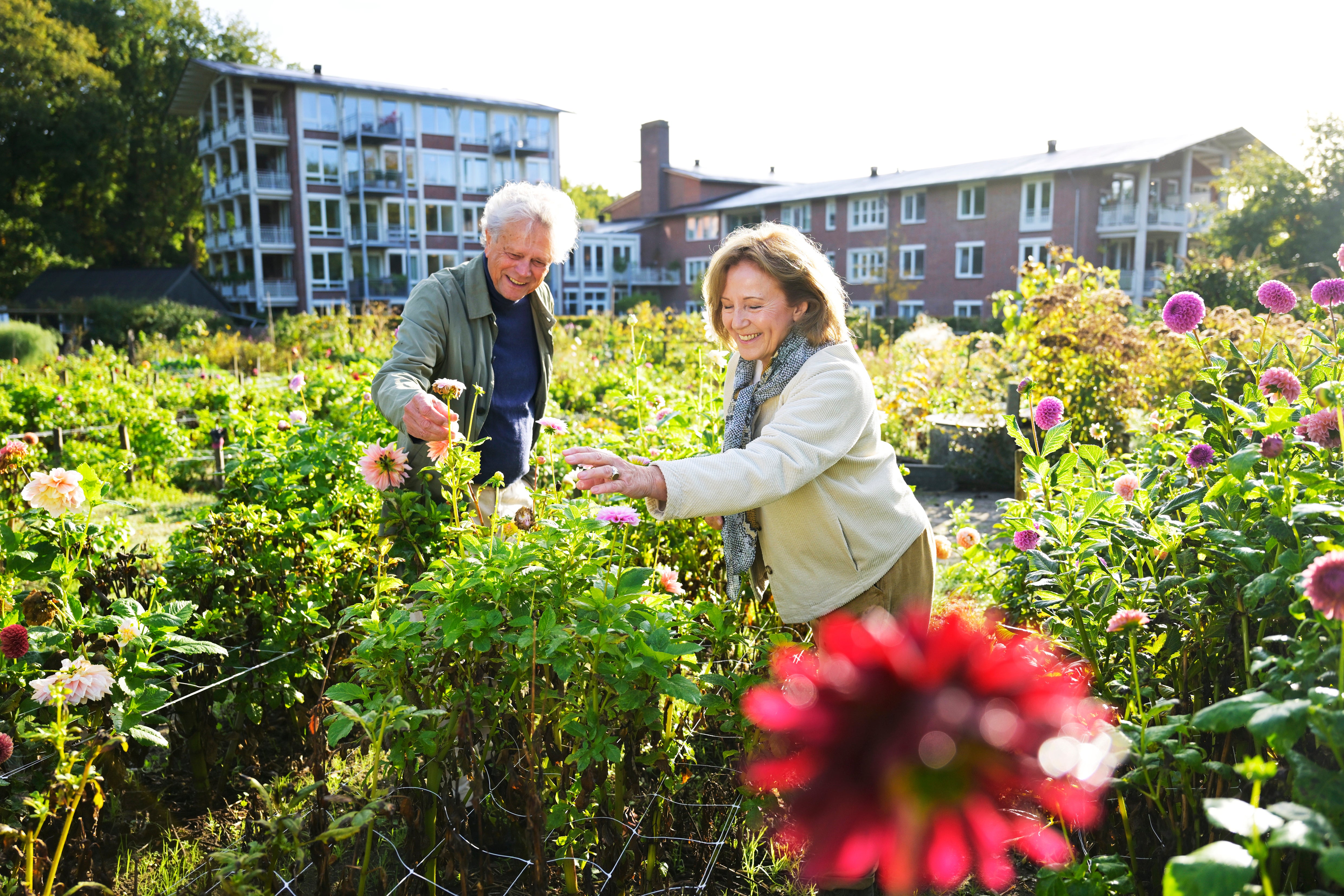stel in gemeentetuin 