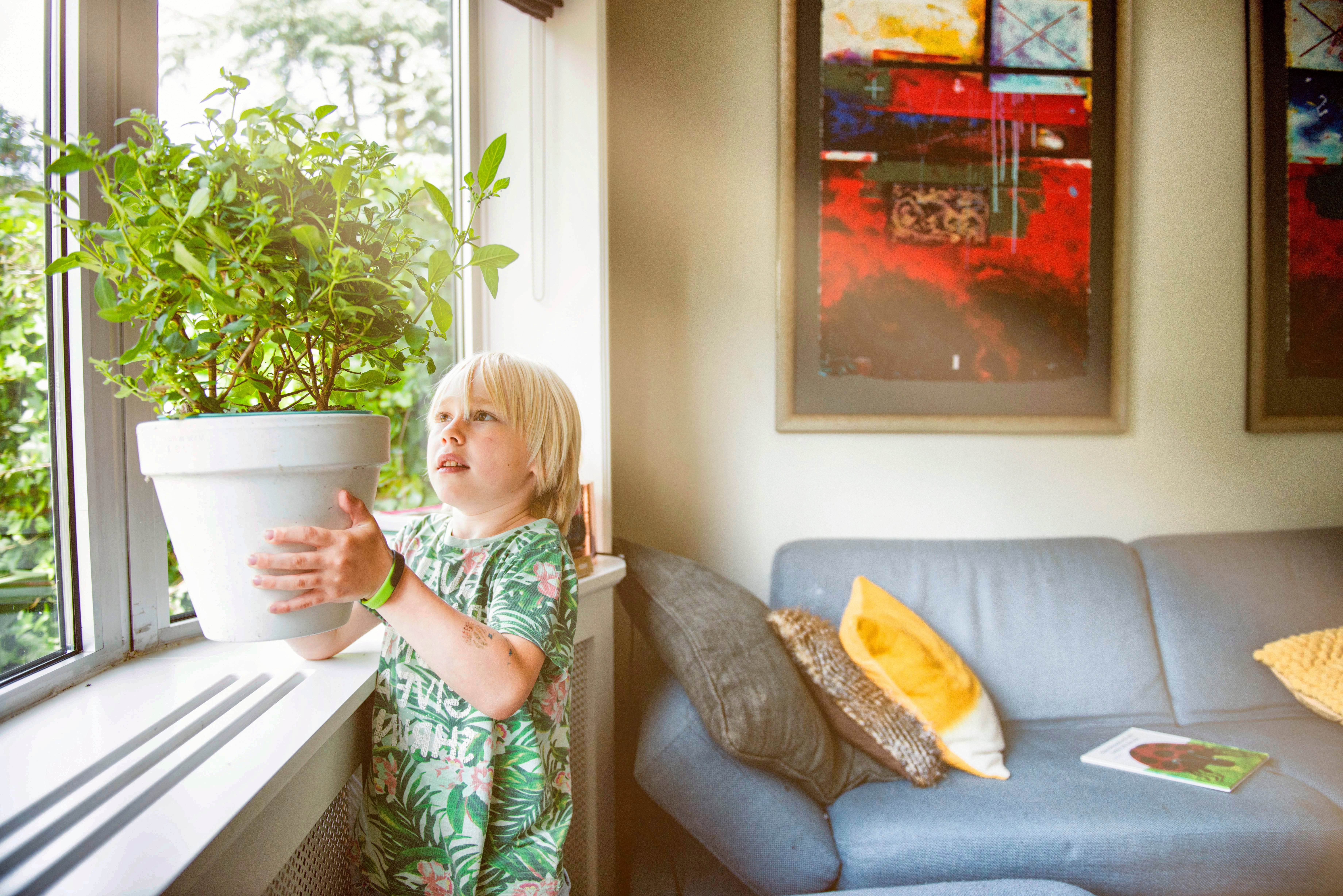 Kind met een bloempot in de woonkamer