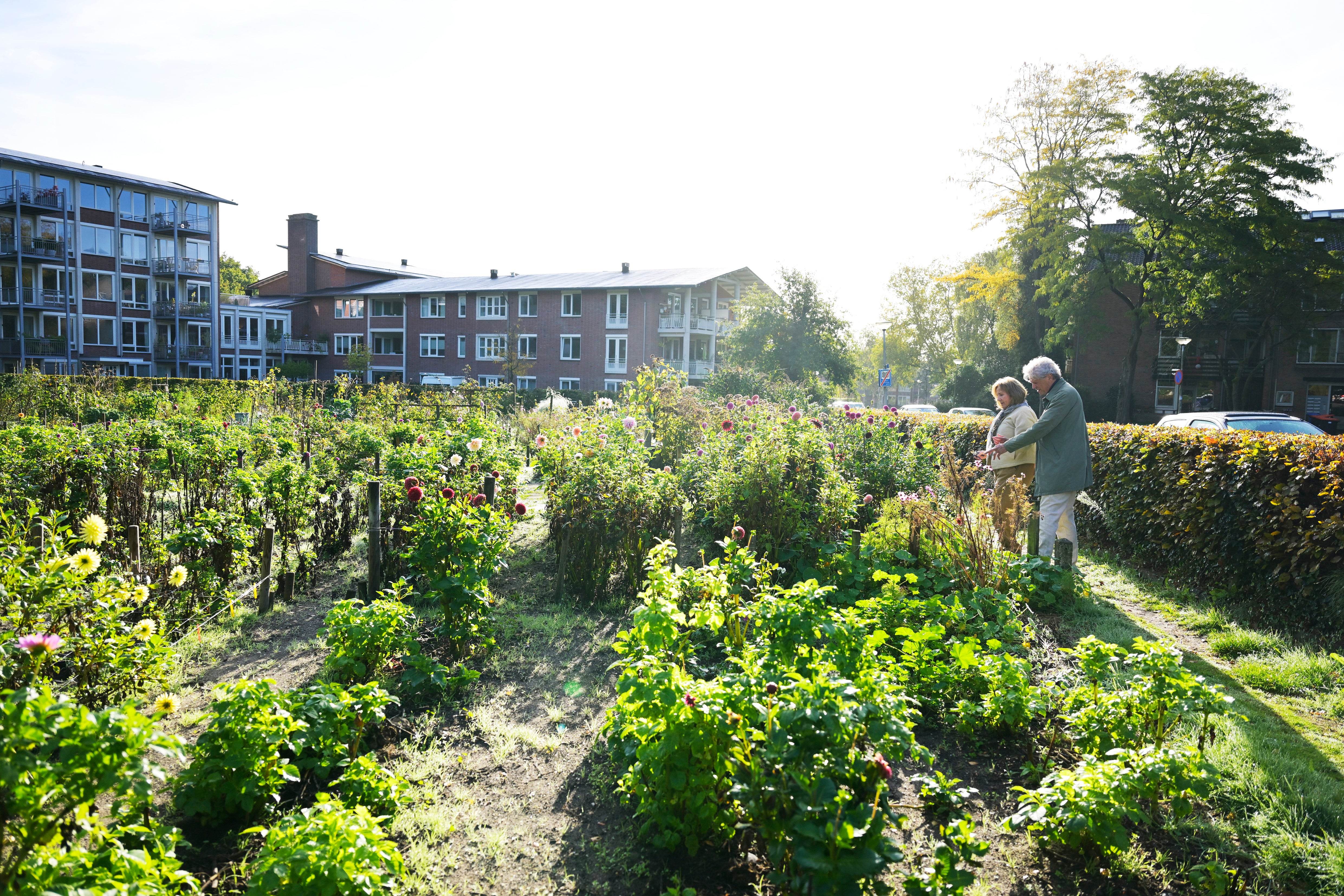 stel in gemeentetuin 